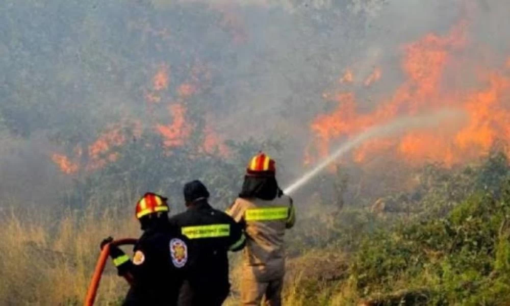 Συναγερμός στην Πυροσβεστική: Πυρκαγιά σε δασική έκταση στα Καρδακάτα Κεφαλονιάς